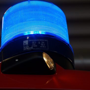 Einsatz #085/2025 H 1 Tier