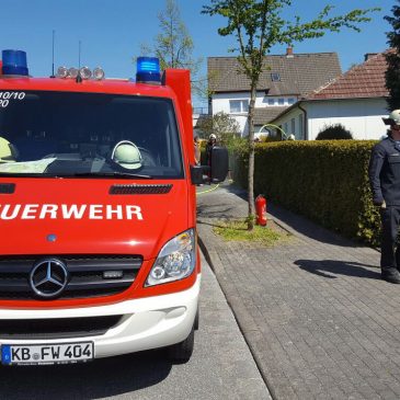 Einsatz #135/2018 H WASS Y