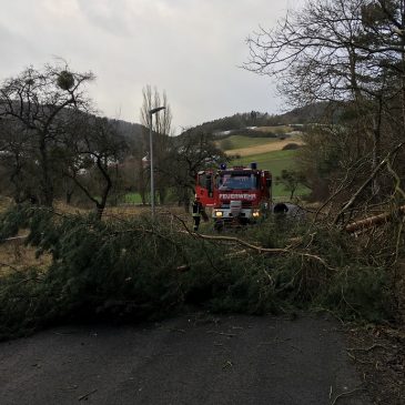 Einsatz #007 bis #016/2018