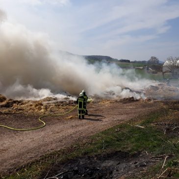 Einsatz #067/2019 F WALD 1