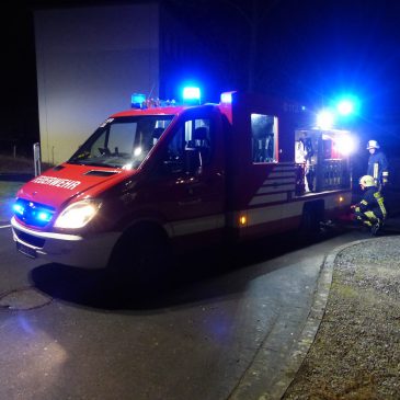 Einsatz #033/2025 H 1 Y