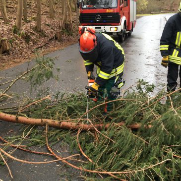 Einsatz #021/2020 H 1