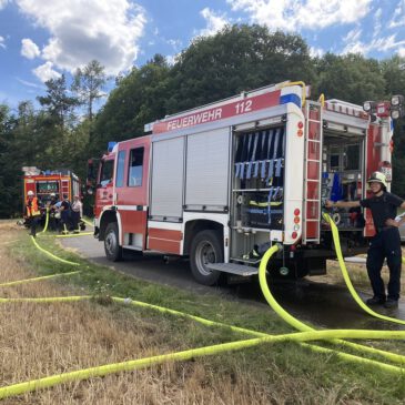 Einsatz #097/2020 F WALD 1