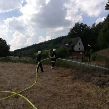 Einsatz #111/2020 F WALD 1