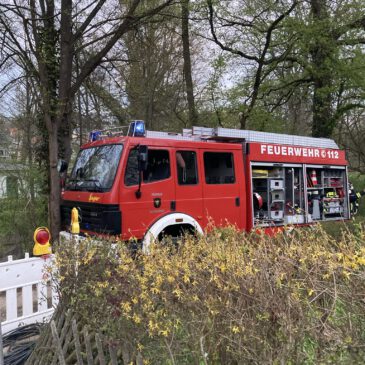 Einsatz #051/2021 F 2 KAMIN