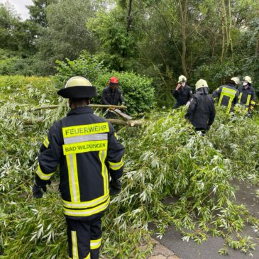 Einsatz #094/2021 H 1