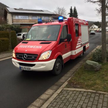 Einsatz #069/2023 F 2