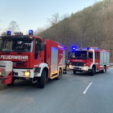 Einsatz #052/2022 F WALD 2