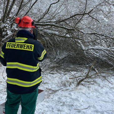 Einsatz #057/2022 H 1