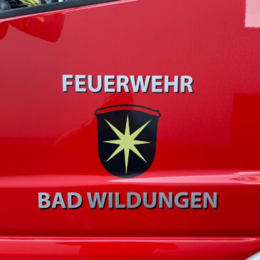 Einsatz #046/2025 H GAS 2