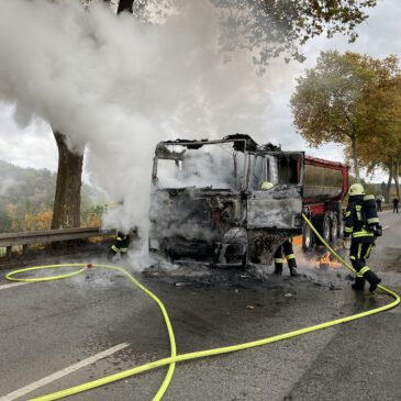 Einsatz #181/2023 F LKW