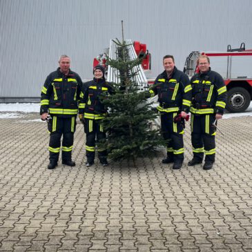 Weihnachtsbaum