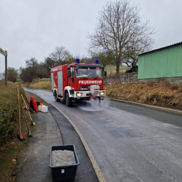 Einsatz #021/2025 H 1