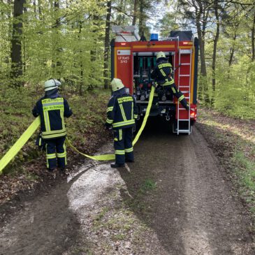 Waldbrandübung