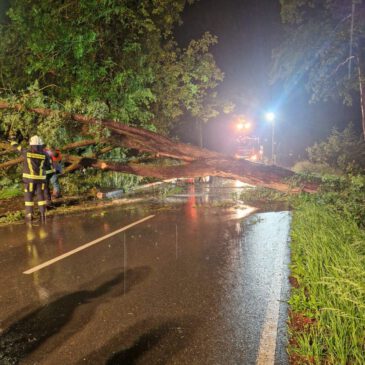 Einsatz #081/2024 H 1