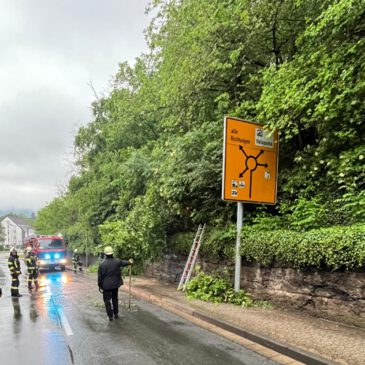 Einsatz #079/2024 H 1