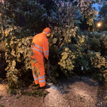 Einsatz #122/2024 H Unwetter Sturm