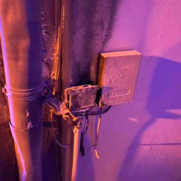 Einsatz #037/2025 F 1