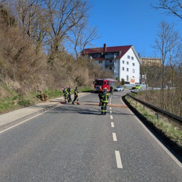 Einsatz #061/2025 H 1