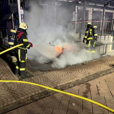 Einsatz #065/2025 F 1