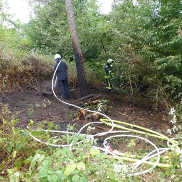 Einsatz #145/2025 F WALD 1