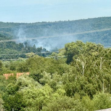 Einsatz #129/2025 F WALD 1