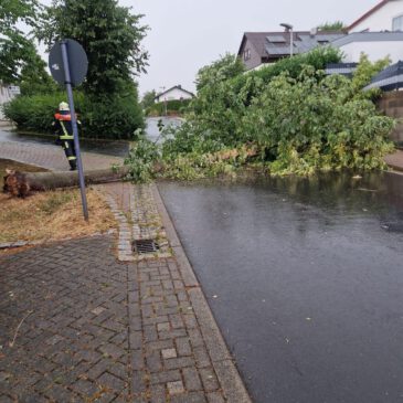 Einsatz #147/2025 & #148/2025