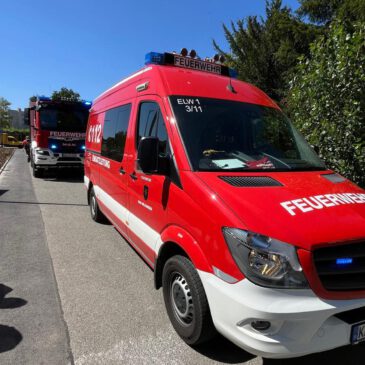 Einsatz #161/2025 F BMA / F3