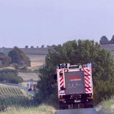 Einsatz #167/2025 F Wald 1