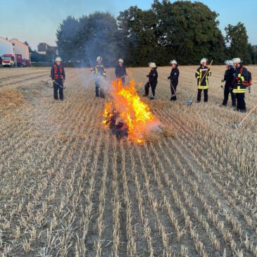 Vegetationsbrandbekämpfung