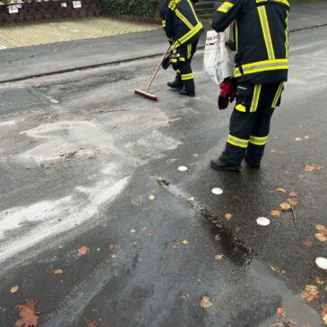 Einsatz #206/2025 H 1