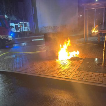 Einsatz #255/2025 F 1