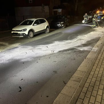 Einsatz #059/2026 H 1