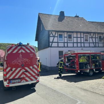 Einsatz #079/2026 F 2 KAMIN