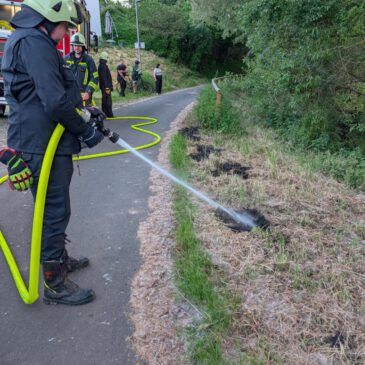 Einsatz #109/2026 F WALD 1