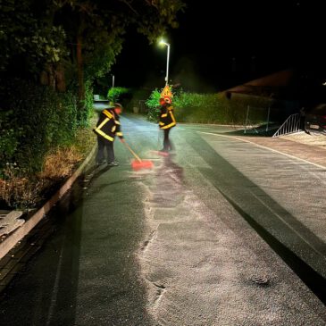 Einsatz #146/2026 H 1