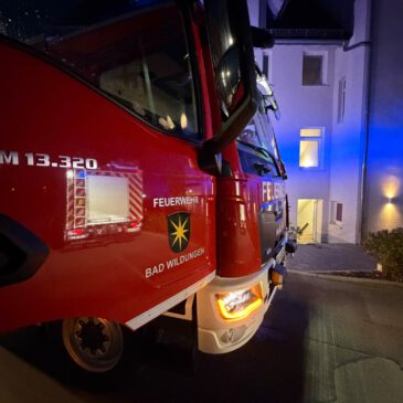 Einsatz #148/2026 F RWM