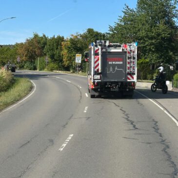Einsatz #156/2026 F LKW