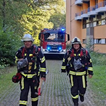 Einsatz #177/2026 F BMA