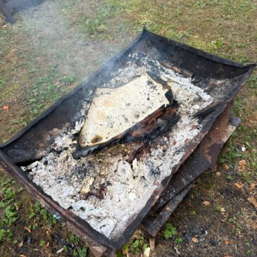 Einsatz #173/2026 F WALD 1