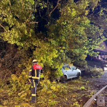 Einsatz #242/2026 H 1